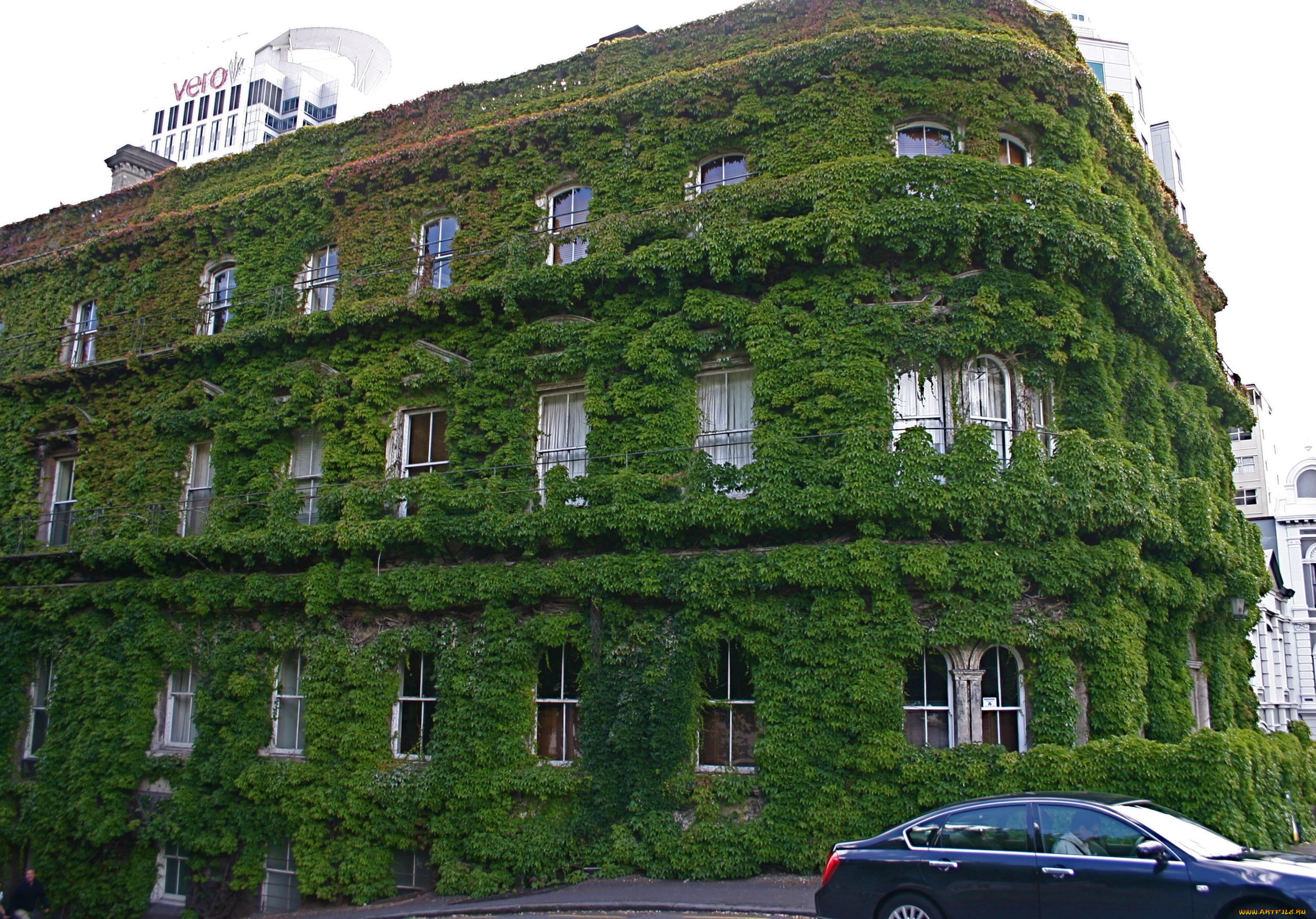 auckland, new, zealand, , , 